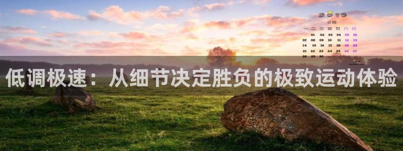 低调极速：从细节决定胜负的极致运动体验