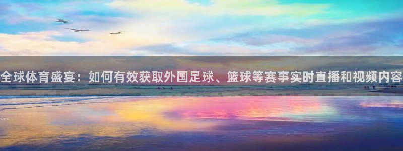 全球体育盛宴：如何有效获取外国足球、篮球等赛事实时直播和视频内容
