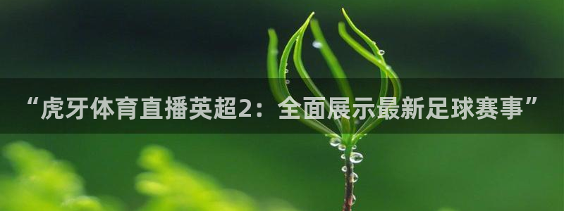 “虎牙体育直播英超2：全面展示最新足球赛事”